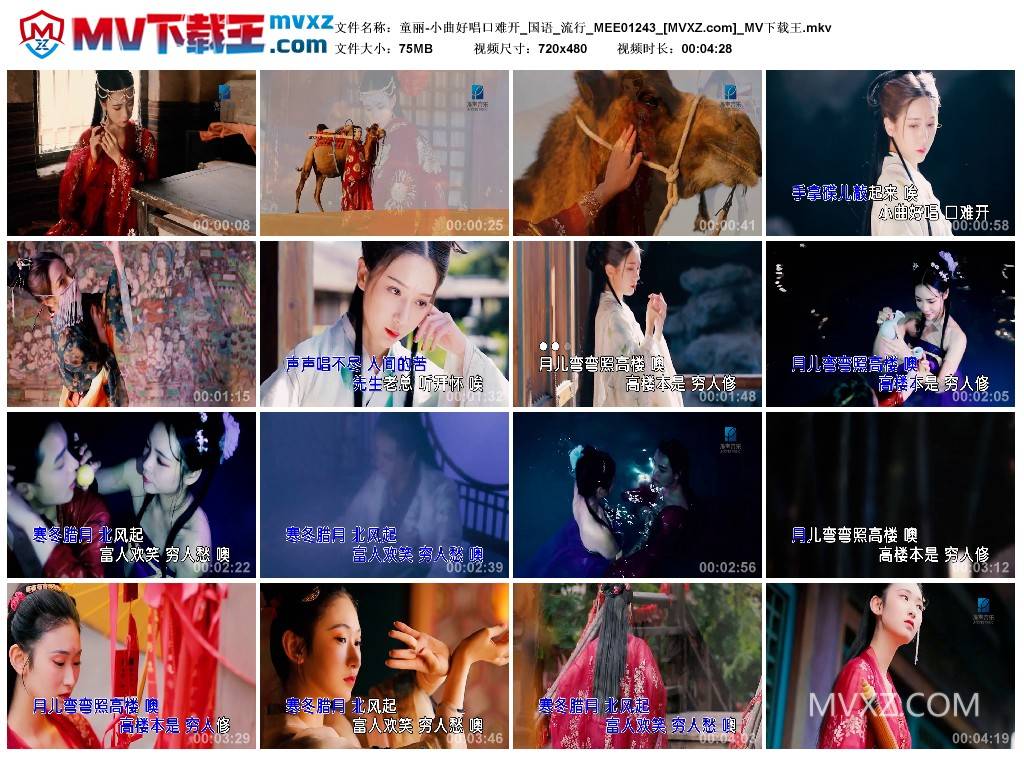 童丽-小曲好唱口难开_国语_流行_MEE01243